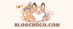 blogchoco.com